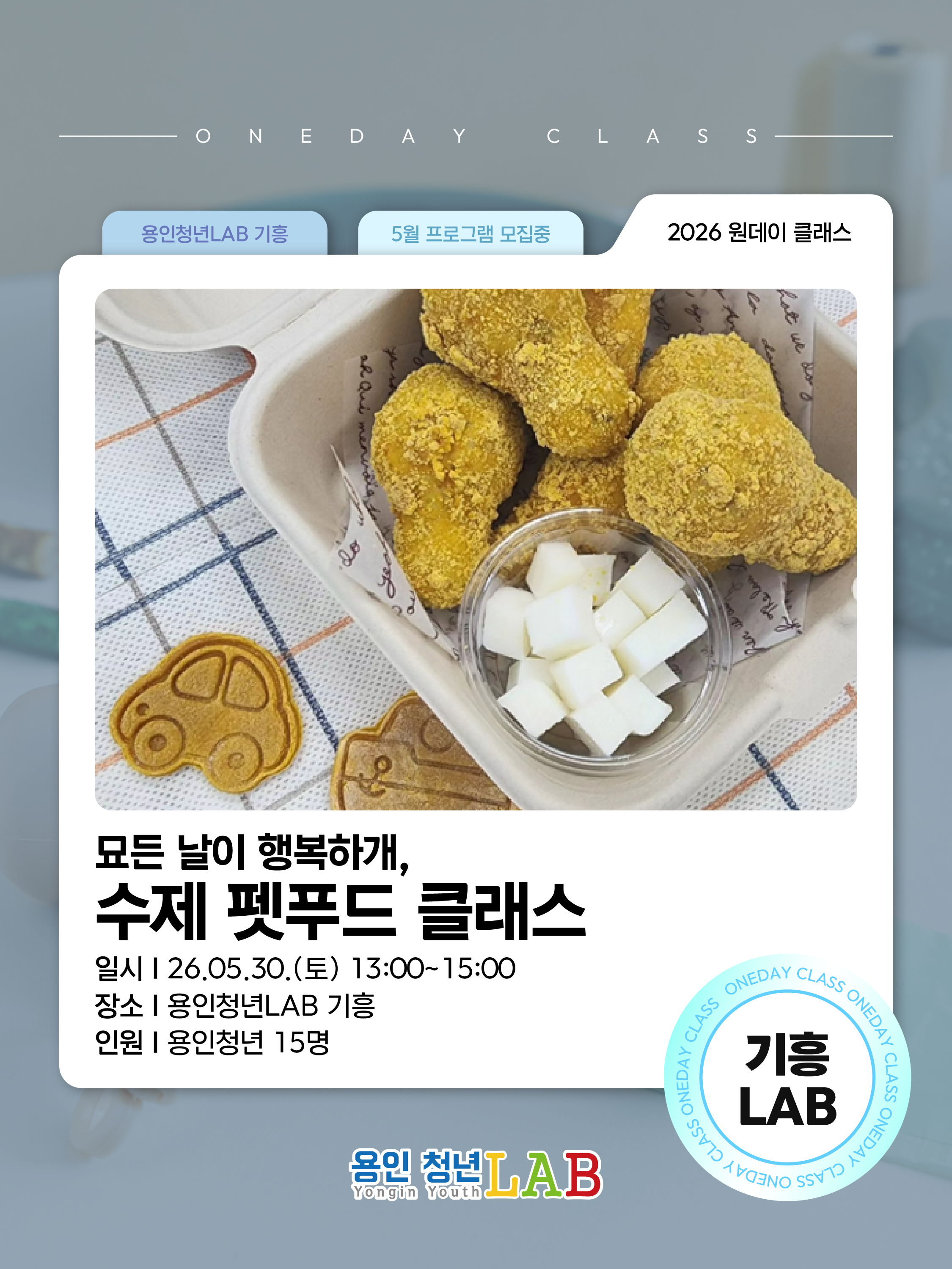 2026 용인청년랩 5월 프로그램원데이수제펫푸드