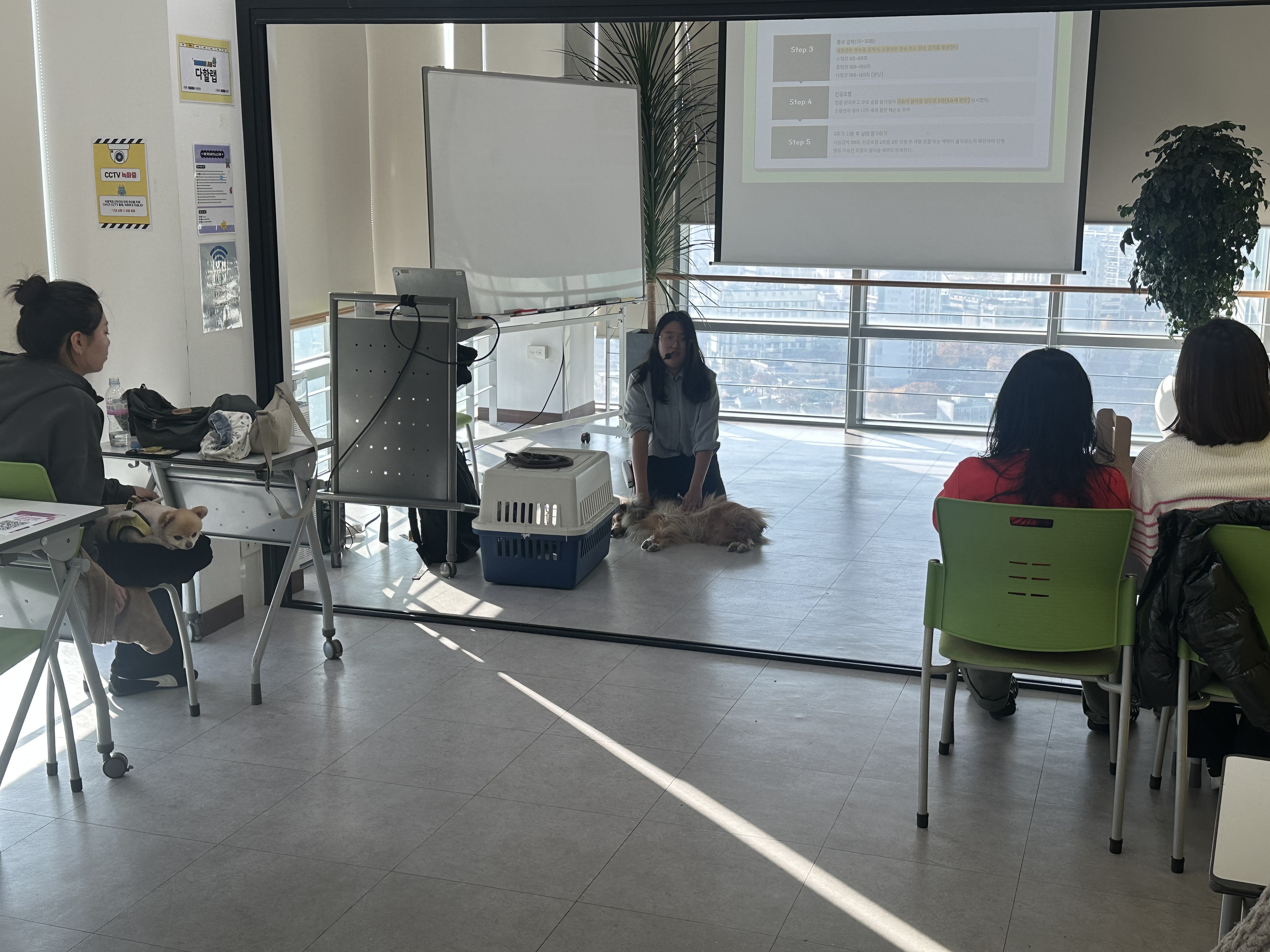 KakaoTalk2025112518202922003