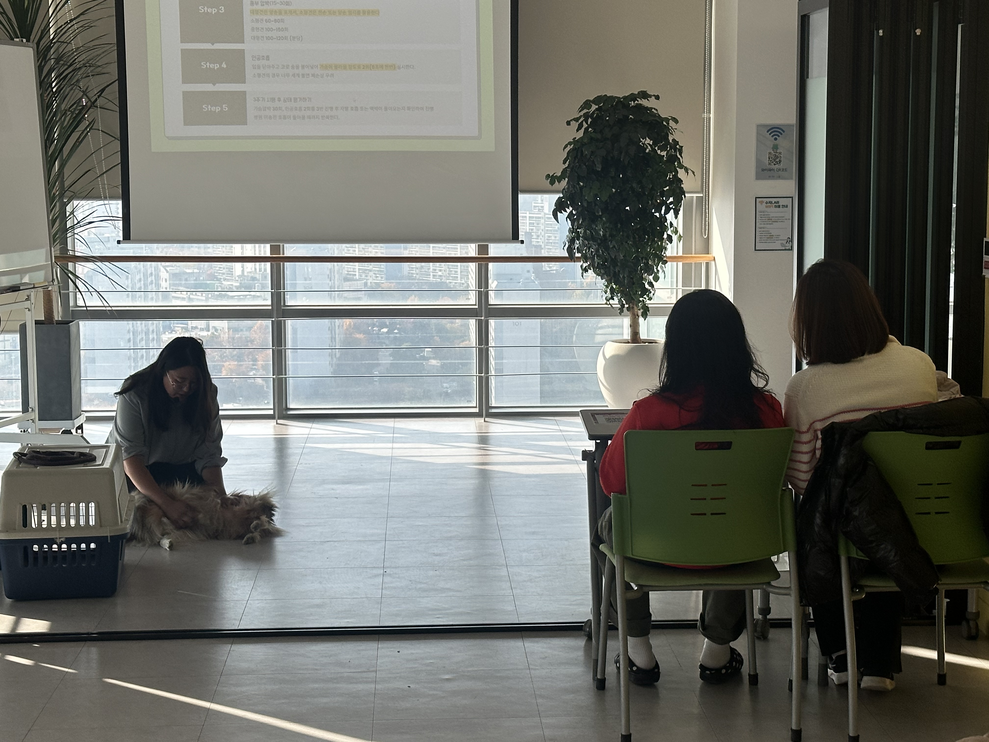 KakaoTalk2025111713275130301